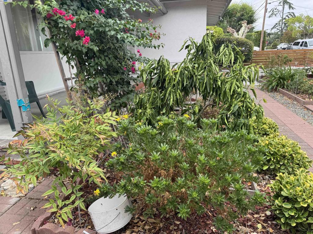 PACHECO - Residential