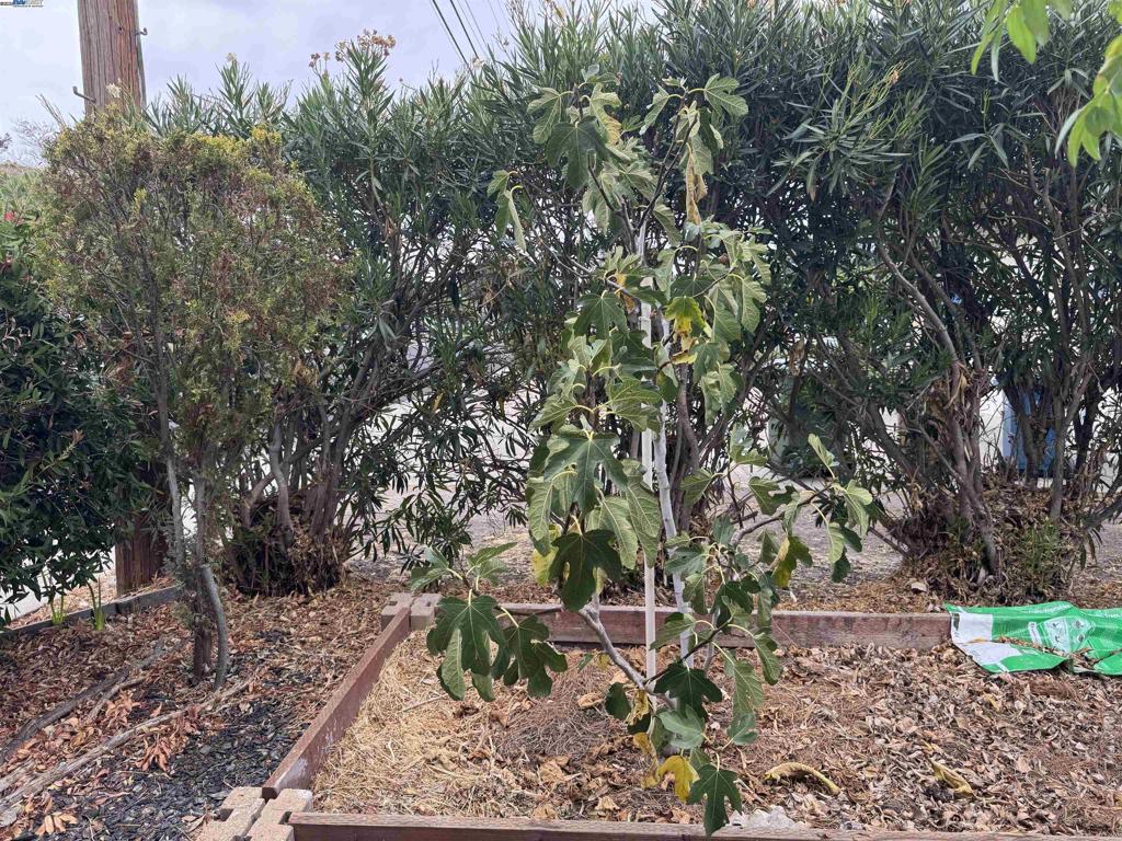 PACHECO - Residential