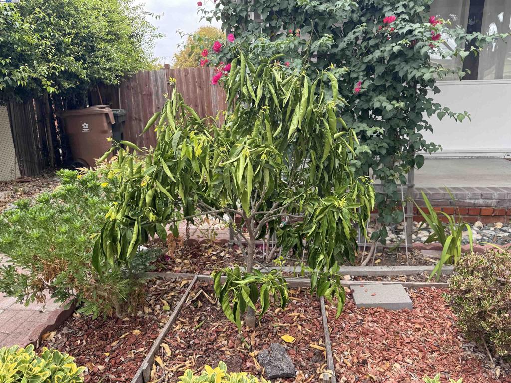 PACHECO - Residential