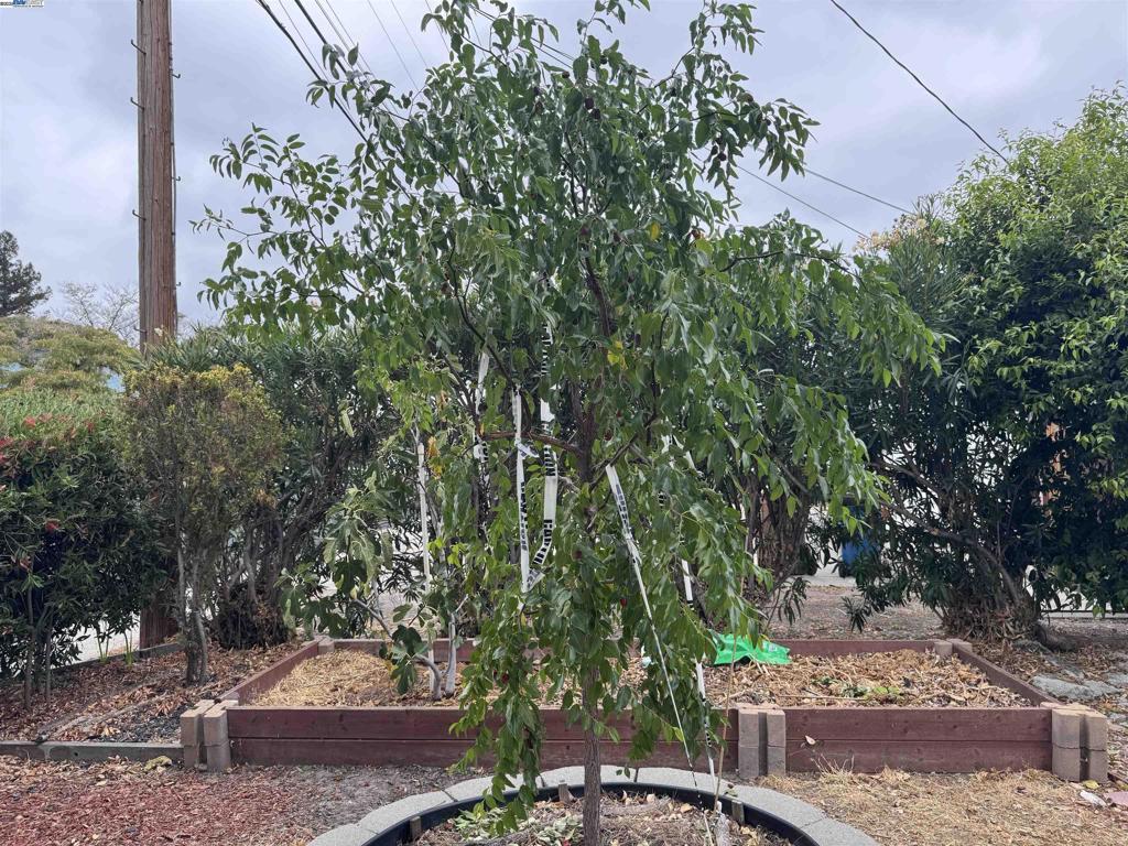 PACHECO - Residential