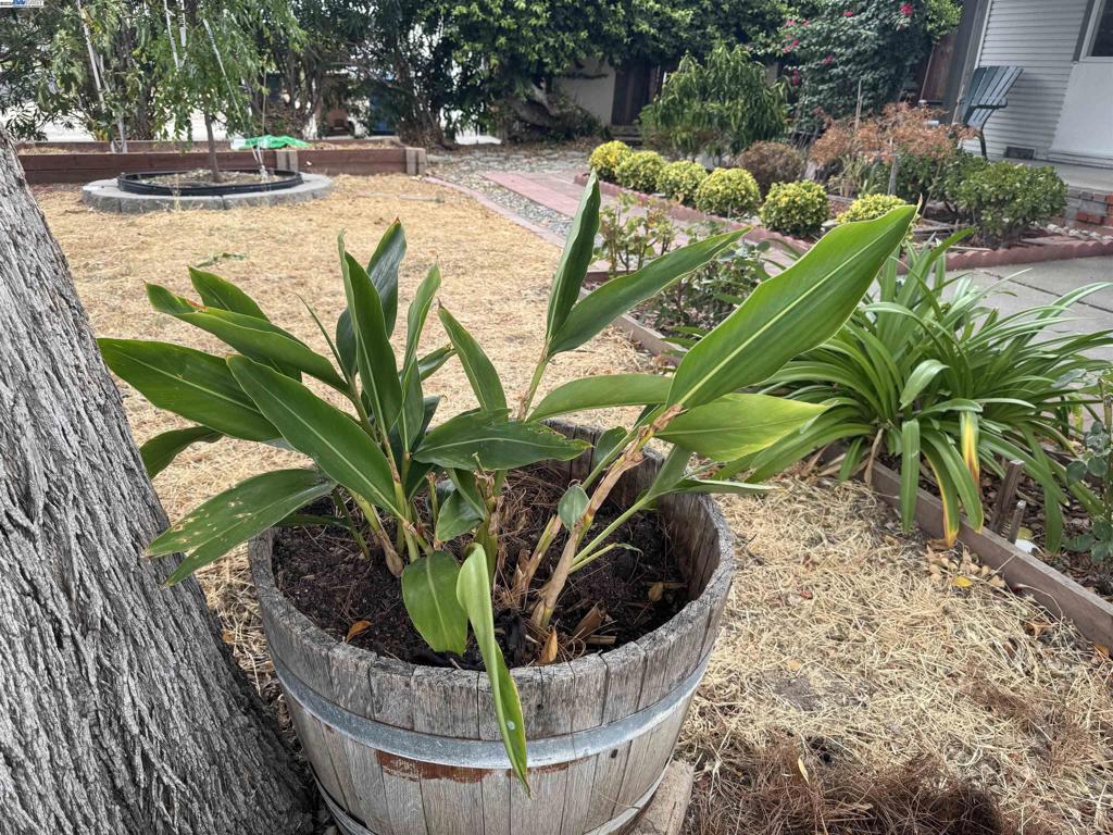 PACHECO - Residential