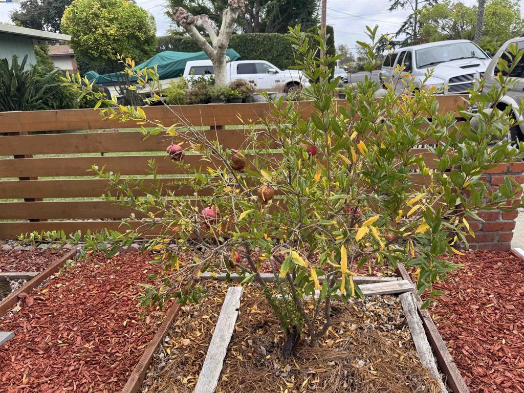 PACHECO - Residential