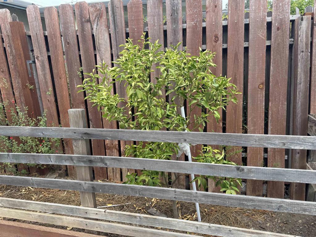 PACHECO - Residential