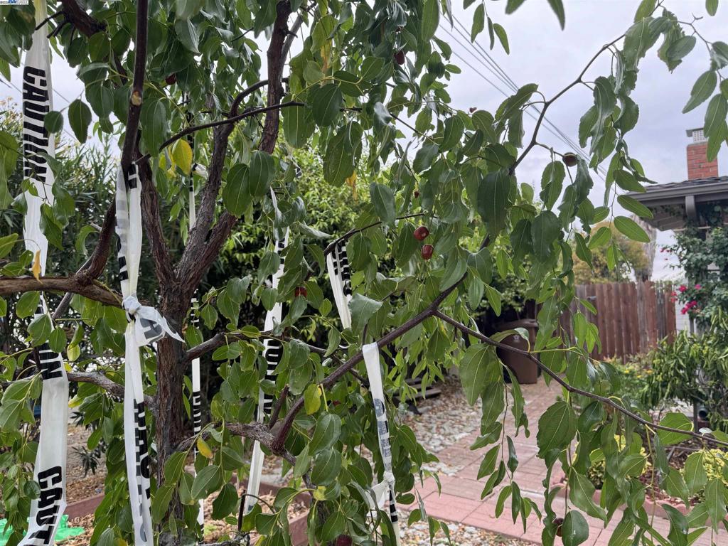 PACHECO - Residential