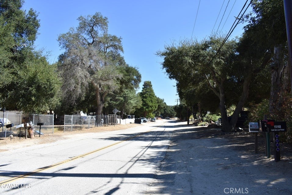 15206 punky Canyon & Calle El Bosque