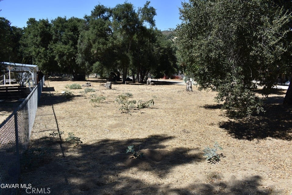 15206 punky Canyon & Calle El Bosque