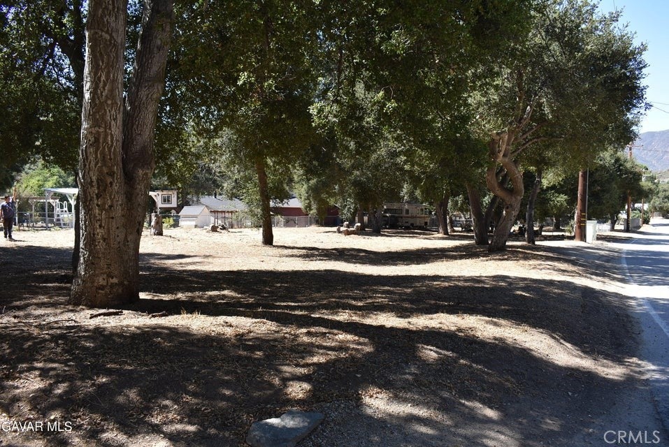 15206 punky Canyon & Calle El Bosque