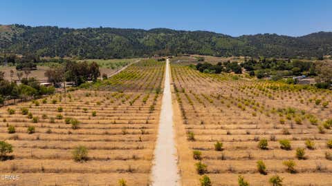Photo of 12400 Ojai Santa Paula Road, Ojai, CA 93023 (MLS # V1-36763)