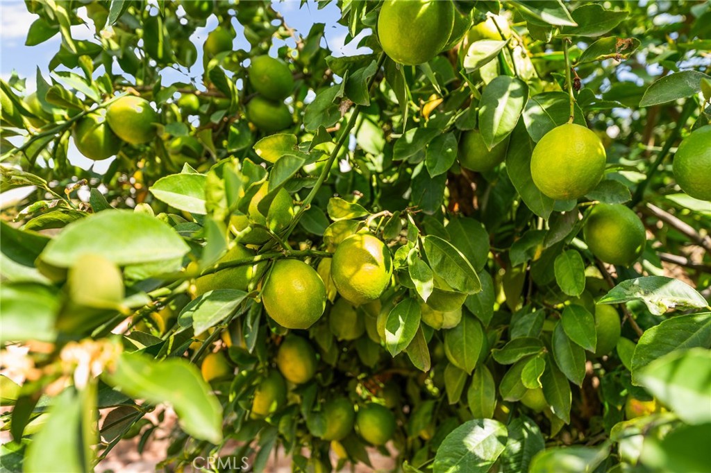 Solera (SLRA) - Residential