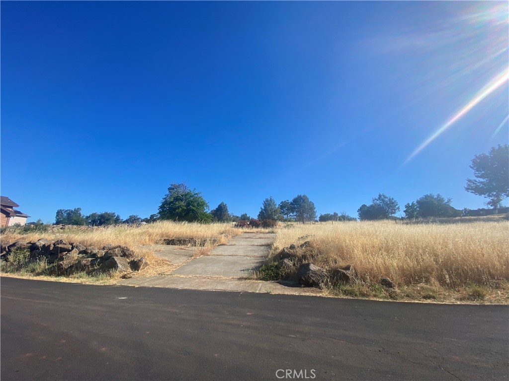 18350 Grizzly Court