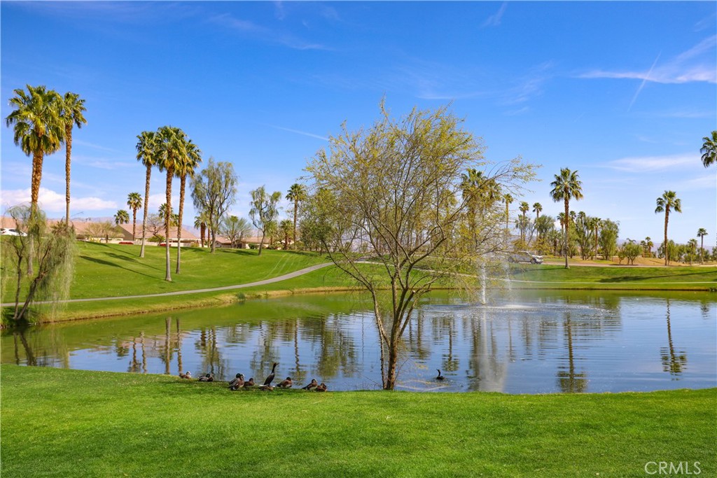 Shadow Hills (30915) - Residential Lease