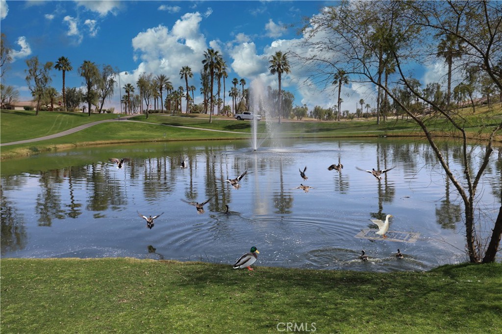 Shadow Hills (30915) - Residential Lease