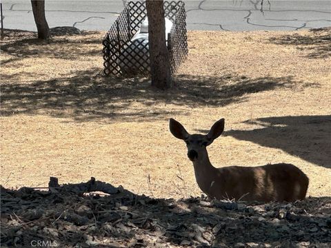 Tiny photo for 2434 Stern Deck Road, Bradley, CA 93426 (MLS # NS25191361)