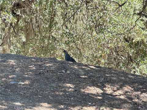 Tiny photo for 2434 Stern Deck Road, Bradley, CA 93426 (MLS # NS25191361)