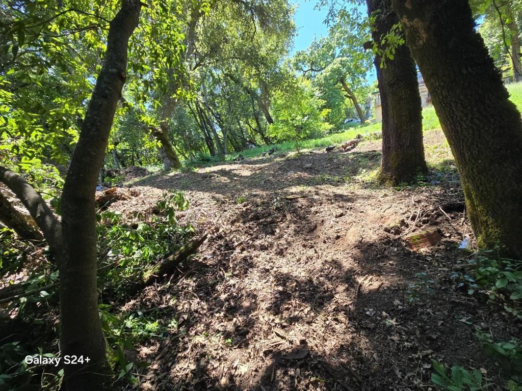 Photo of Los Gatos, CA 95033 (MLS # ML82040037)