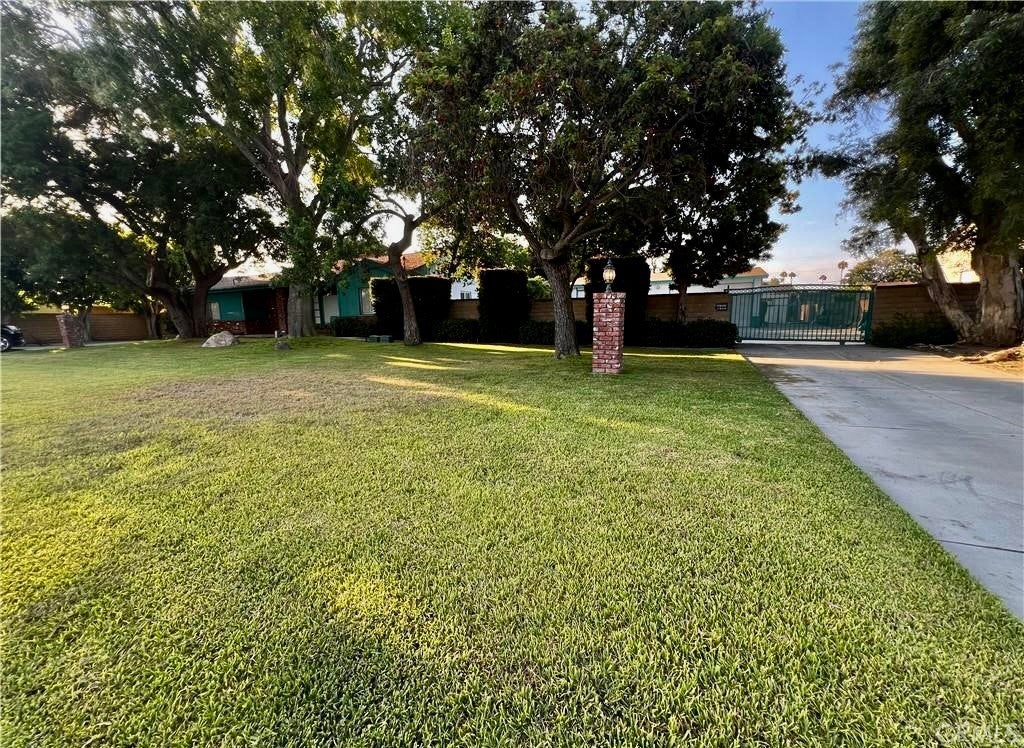 8541 Orangewood