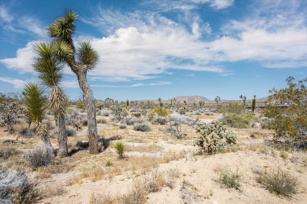 6655 Saddleback Road