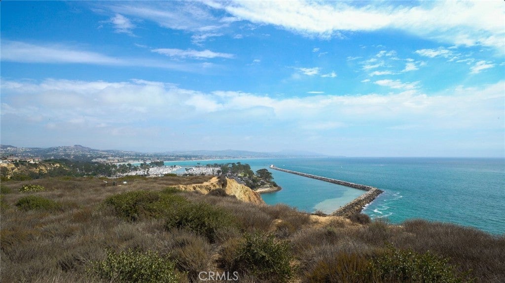 34115 Violet Lantern 1, Dana Point CA 92629 - Photo 49