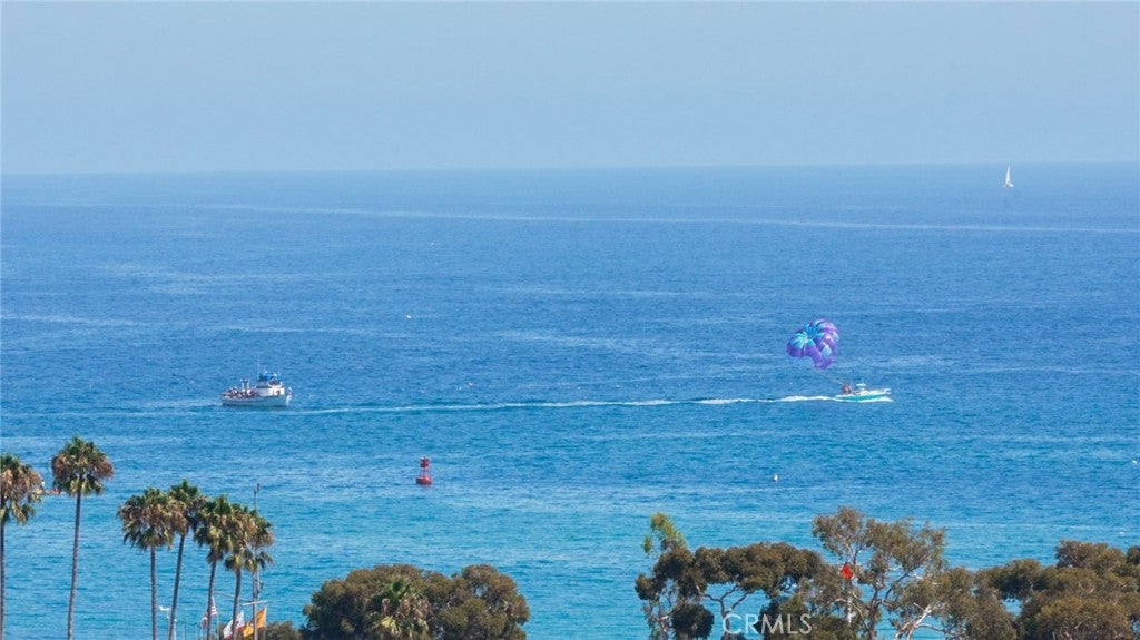 34115 Violet Lantern 1, Dana Point CA 92629 - Photo 50