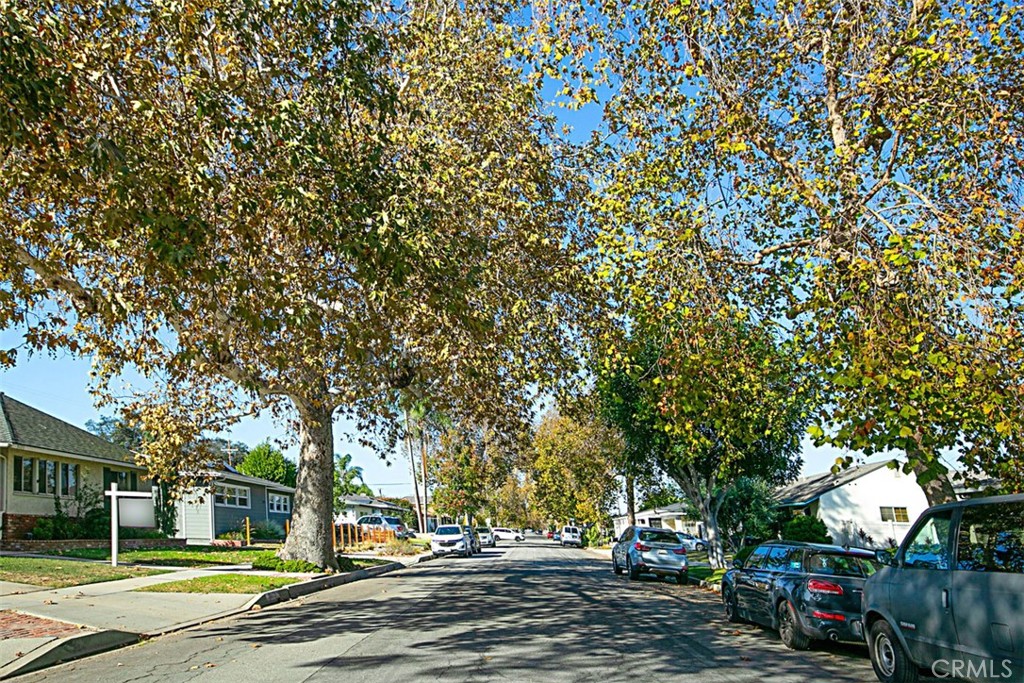 Plaza North of Spring (PZN) - Residential