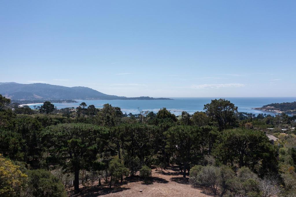 A rare opportunity to build your dream estate on one of Pebble Beach's most coveted streets. Nearly 2 acres of prime land showcase sweeping views of Stillwater Cove with Point Lobos as a backdrop. Ideally located in the sought-after sun belt, this property is just a short walk to Pebble Beach Golf Links, The Lodge, The Beach Club, and minutes from Carmel-by-the-Sea. Richard Beard plans available.  The expansive site offers an unmatched canvas to design a custom home whether an elegant retreat or modern masterpiece framed by tranquility, ocean vistas, and world-class surroundings. This is Pebble Beach living at its finest.