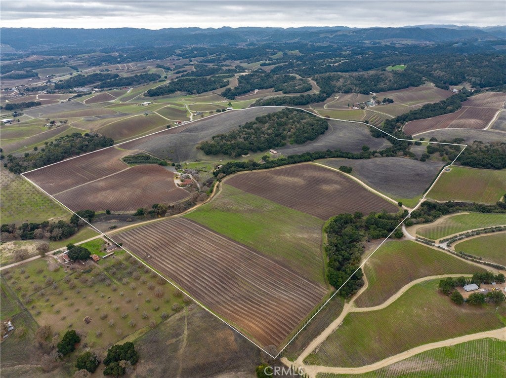 2135 Live Oak Rd, Paso Robles, CA, 93446, USA, 5 Bedrooms Bedrooms, ,6 BathroomsBathrooms,Residential,Active,2135 Live Oak Rd,NS23231100