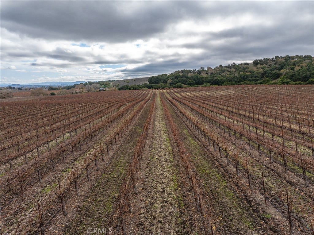 2135 Live Oak Rd, Paso Robles, CA, 93446, USA, 5 Bedrooms Bedrooms, ,6 BathroomsBathrooms,Residential,Active,2135 Live Oak Rd,NS23231100