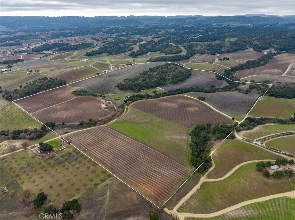 2135 Live Oak Rd, Paso Robles, CA, 93446, USA, 5 Bedrooms Bedrooms, ,6 BathroomsBathrooms,Residential,Active,2135 Live Oak Rd,NS23231100