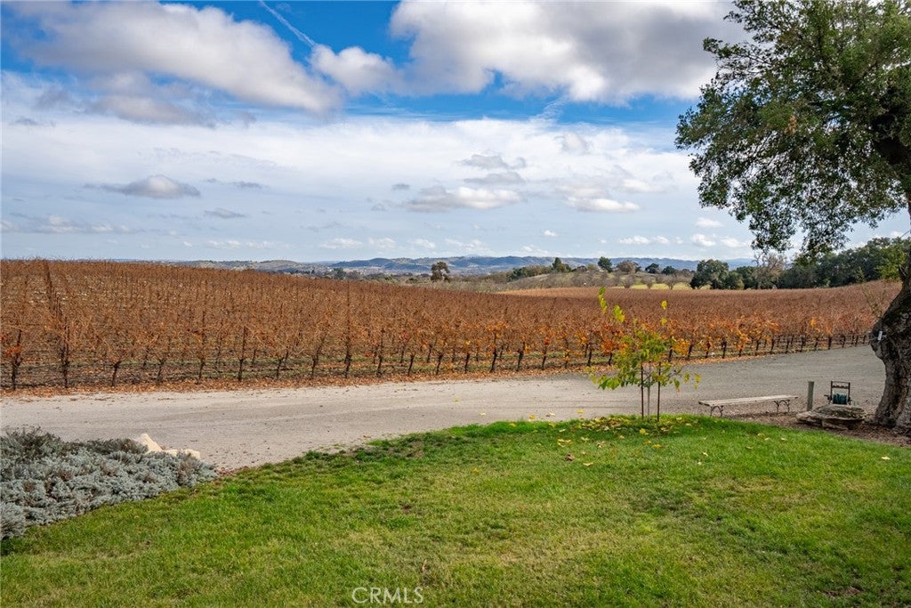 2135 Live Oak Rd, Paso Robles, CA, 93446, USA, 5 Bedrooms Bedrooms, ,6 BathroomsBathrooms,Residential,Active,2135 Live Oak Rd,NS23231100