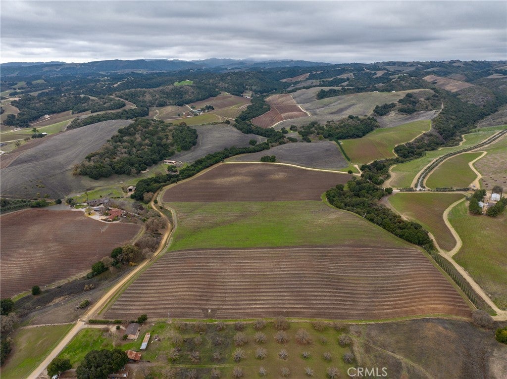 2135 Live Oak Rd, Paso Robles, CA, 93446, USA, 5 Bedrooms Bedrooms, ,6 BathroomsBathrooms,Residential,Active,2135 Live Oak Rd,NS23231100