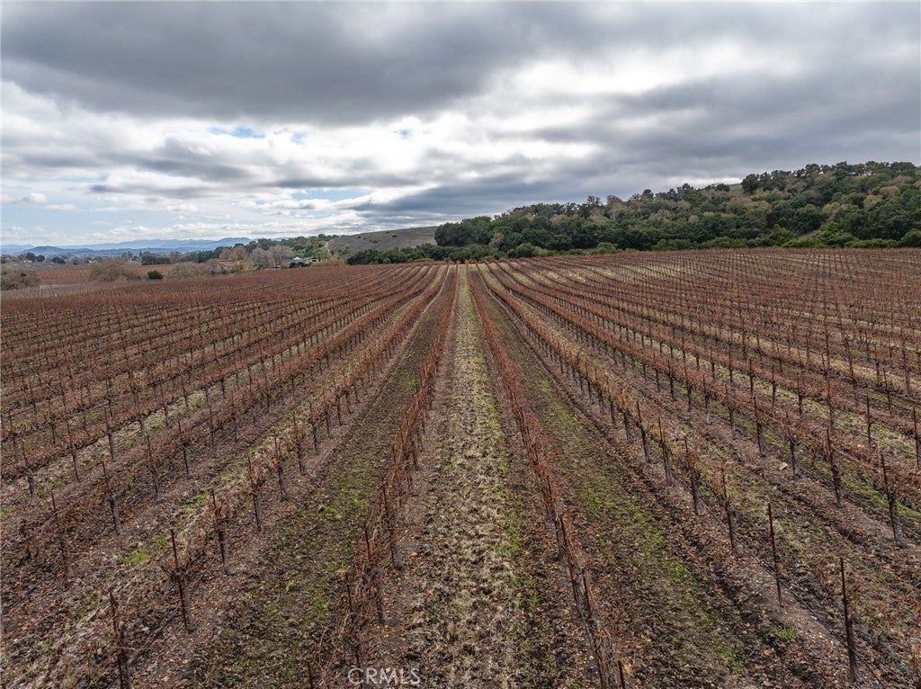 2135 Live Oak Rd, Paso Robles, CA, 93446, USA, 5 Bedrooms Bedrooms, ,6 BathroomsBathrooms,Residential,Active,2135 Live Oak Rd,NS23231100