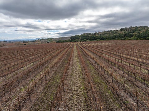 Tiny photo for 2135 Live Oak Rd Rd, Paso Robles, CA 93446 (MLS # NS23231100)