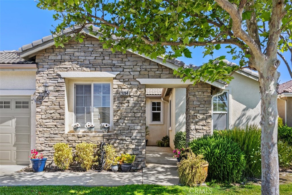 28264 Lone Mountain Court