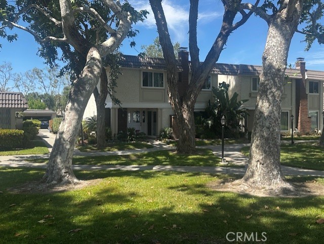 5246 Saint George