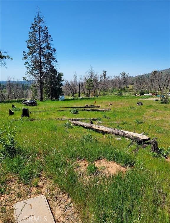 3109 Wild Dove Lane