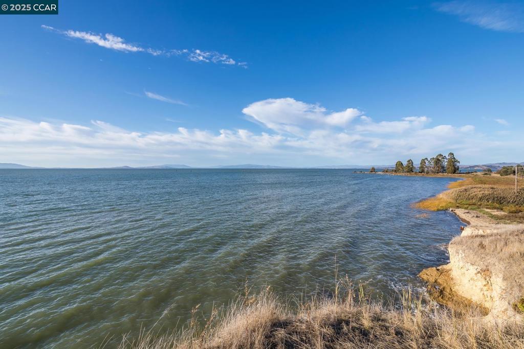 THE TREES - Residential