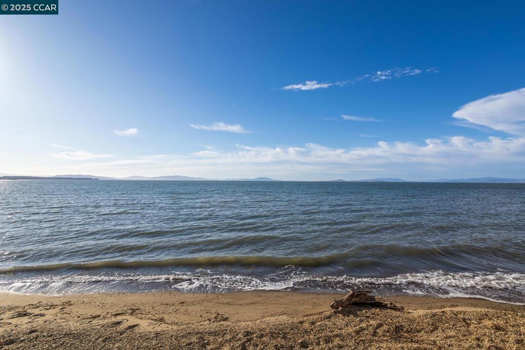 THE TREES - Residential