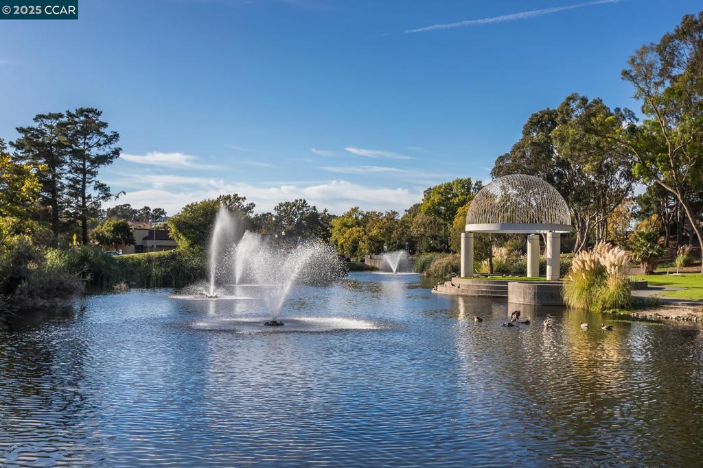 THE TREES - Residential