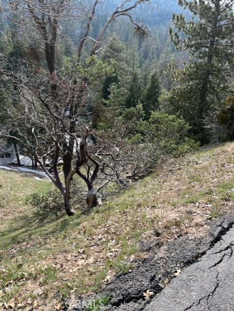 Wonderful down-slope lot on Berne Dr. Great location close to Lake and San Moritz Lodge. Owner has put in partial stairs down the lot on the
right side. Enjoy great views! This is a great area for building your vacation or full time home! The lot is between 812 and 824 Berne.