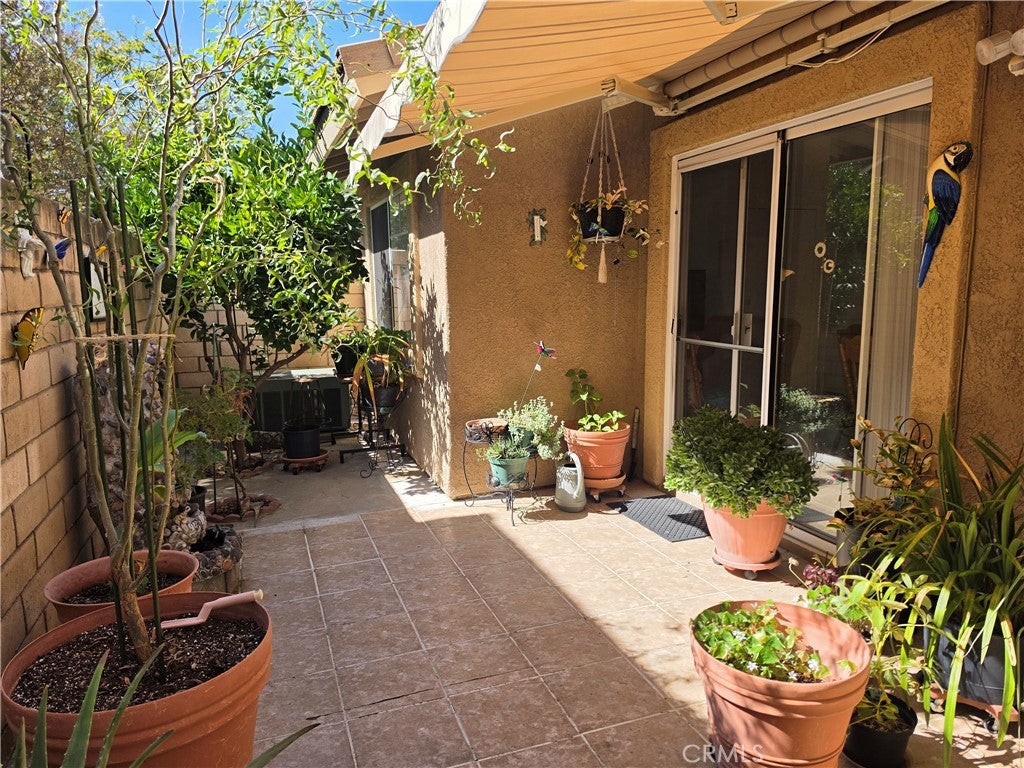 4514 Apricot A