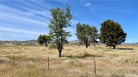 Tiny photo for 0 Coso Junction Rd, Santa Margarita, CA 93453 (MLS # NS26074411)