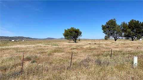 Tiny photo for 0 Coso Junction Rd, Santa Margarita, CA 93453 (MLS # NS26074411)