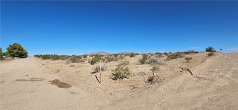 Photo of 800 Mandrill St., Newberry Springs, CA 92365 (MLS # HD26179949)