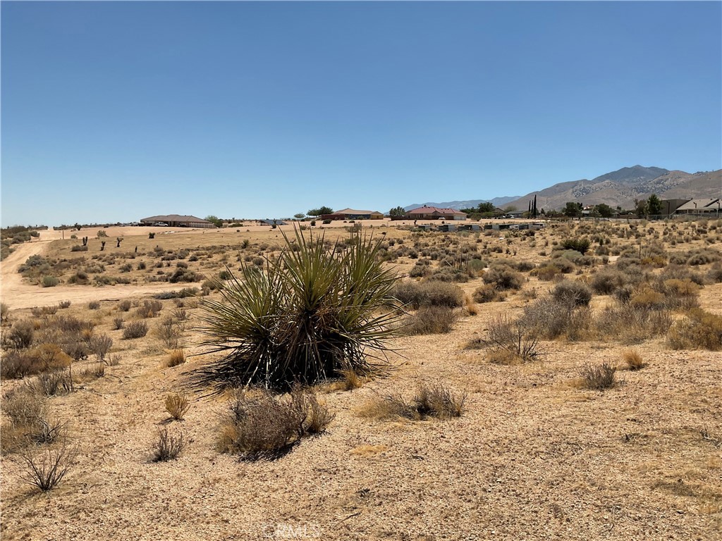 2.20 acre lot, Build your dream home or ranch and have room for more. Large custom homes in the area. ** water underground and electricity available** Don't missed the opportunity to invest in your future