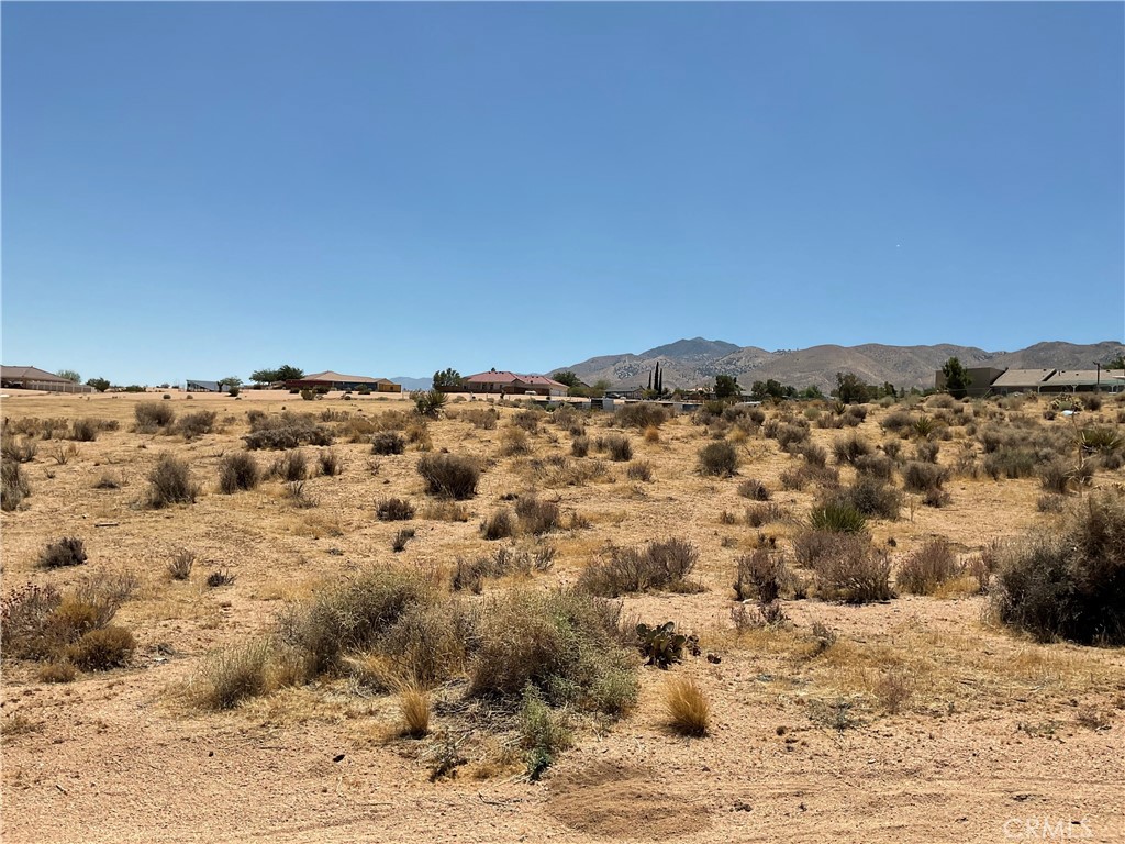 7 Ocotillo Way