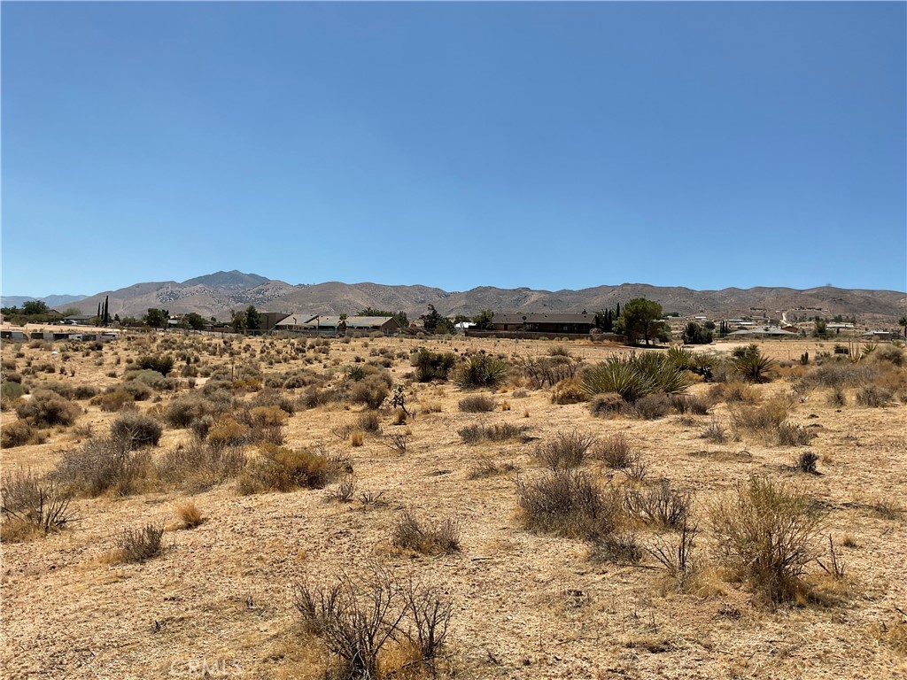 7 Ocotillo Way