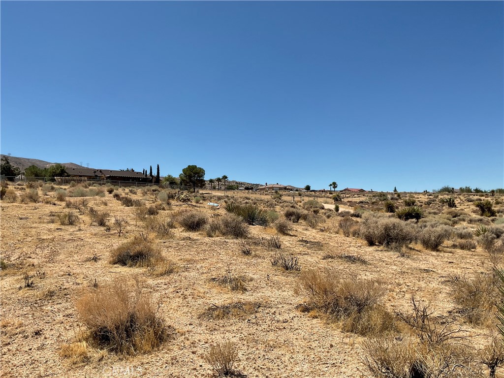7 Ocotillo Way