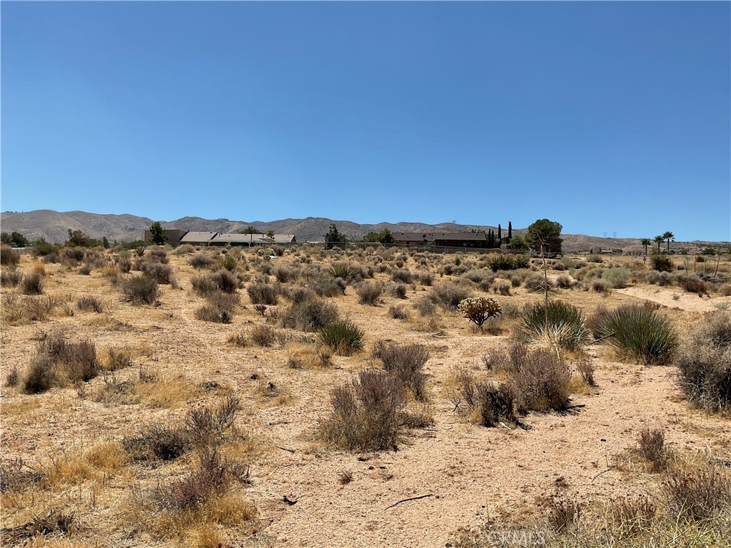 7 Ocotillo Way