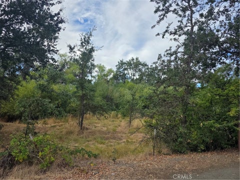Photo of 1217 Berry ST, Lakeport, CA 95453 (MLS # LC26187321)