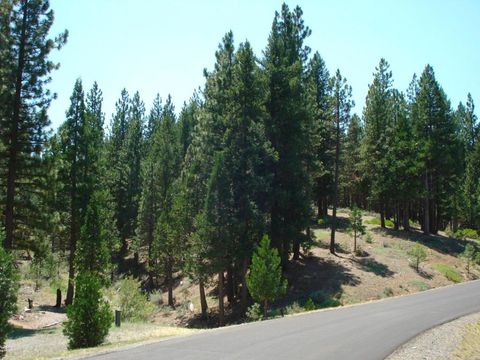 Photo of 976 Moon Shadow, Portola, CA 96122 (MLS # ML82045649)